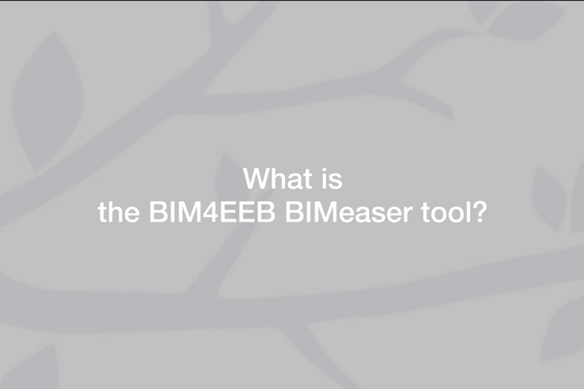 BIM4EEB-BIMeaser